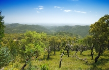 Portugal Djoser Algarve Serra de Monchique