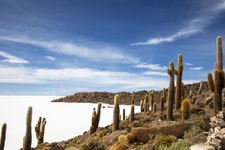 Uyuni isla pescado incahuasi