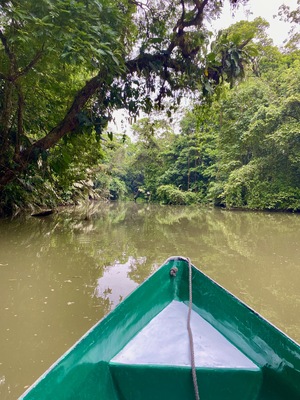 Tortuguero