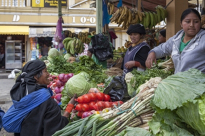 Old woman buys vegetables market otavalo ecuador