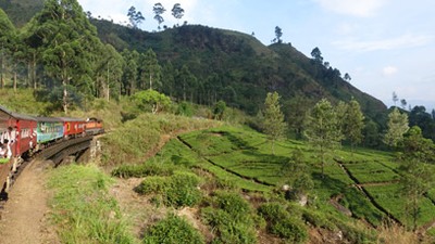 Sri Lanka trein vervoersmiddel rondreis Djoser 