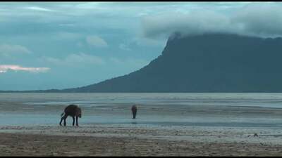 Rondreis Borneo