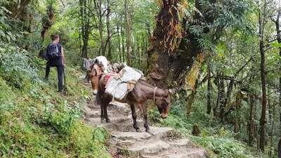 Wandel- en Fietsreis Nepal