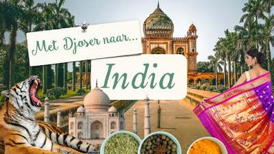 Met Djoser naar... India