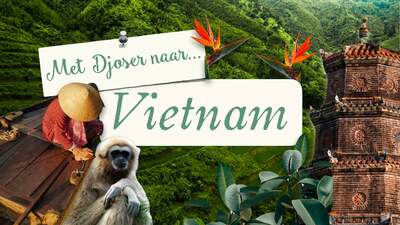 Met Djoser naar... Vietnam