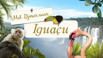Met Djoser naar... de Iguaçu-watervallen