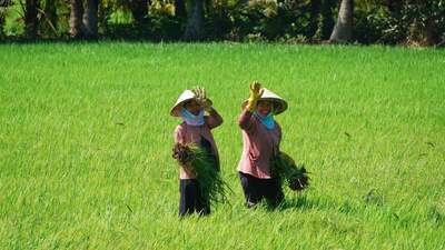 Fietsreis Vietnam en Cambodja