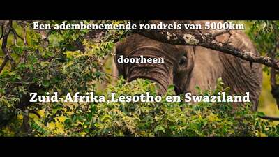 Rondreis Zuid-Afrika, 22 dagen