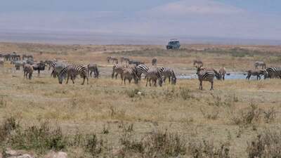 Kampeerreis Kenia en Tanzania