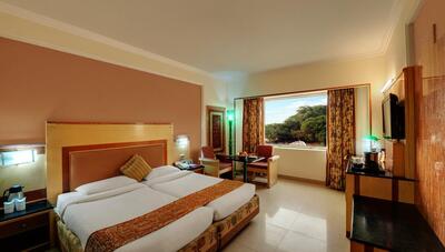 Amar Hotel Agra kamer India