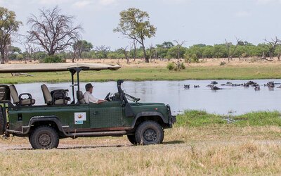 Chobe NP - gamedrive