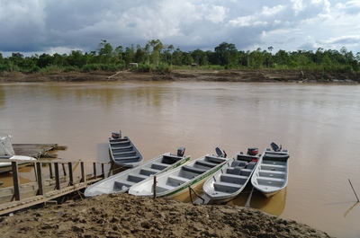 maleisie borneo kinabatangan rivier boot Djoser