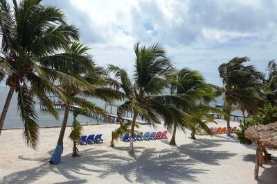 Anchorage Beach Resort Caye Caulker palmbomen Belize