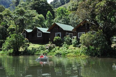 suenos-del-bosque