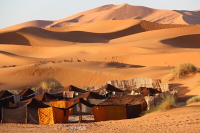 Erg Chebbi Sahara Garden