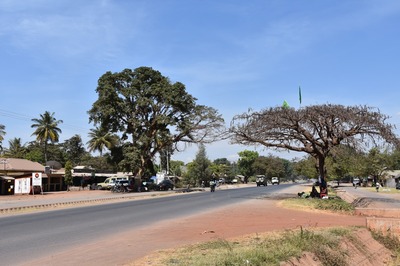 Tanzania & Zanzibar