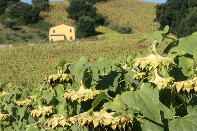 Italië - Le Marche, Abruzzen & Puglia