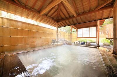 Recove Hakone Hotel onsen Japan