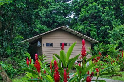 Valvarde Tortuguero