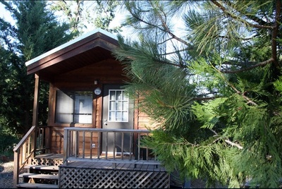 USA Yosemite Pines cabin