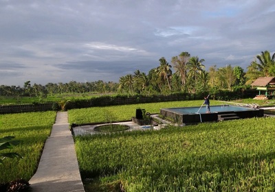 tetebatu pool family djoser