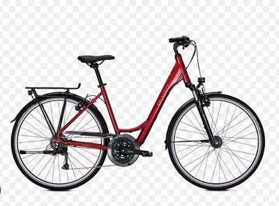 Low entry hybride fiets