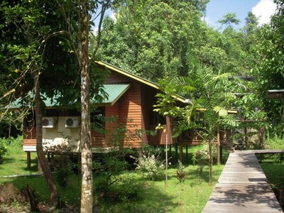 maleisie borneo kinabatangan hotel accommodatie Djoser