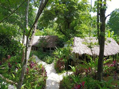 Hotel La Aldea de Halach huisjes Palenque Mexico