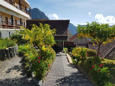 bromo hotel