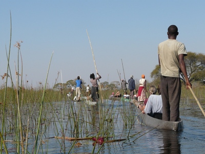 Boottocht Okavangodelta Botswana Djoser