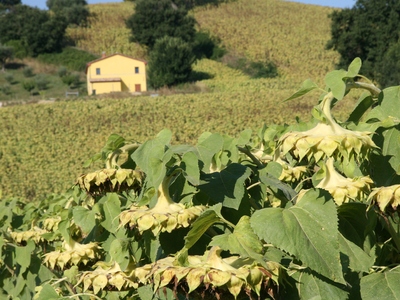 Italië - Le Marche, Abruzzen & Puglia