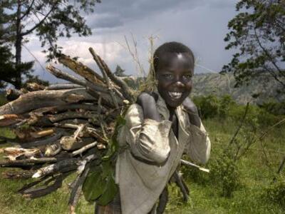 Kenia & Tanzania lodge/hotelreis