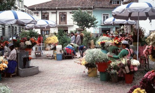 Bloemenmarkt Cuenca