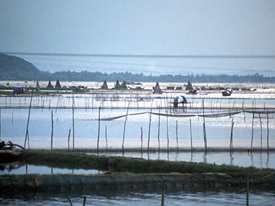 Vietnam & Cambodja