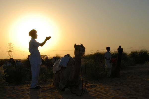Kamelensafari ondergaande zon Bikaner India Djoser