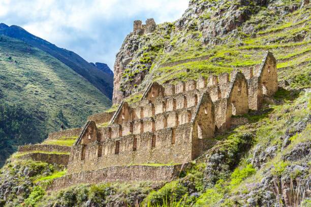 Ollanta