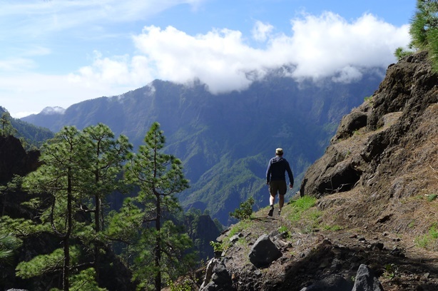 Pico Bejenado, La Palma