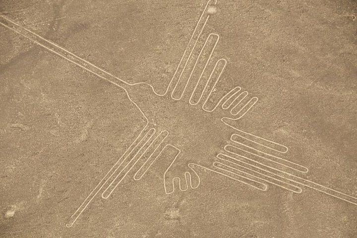 Nazca lijne vogel Peru
