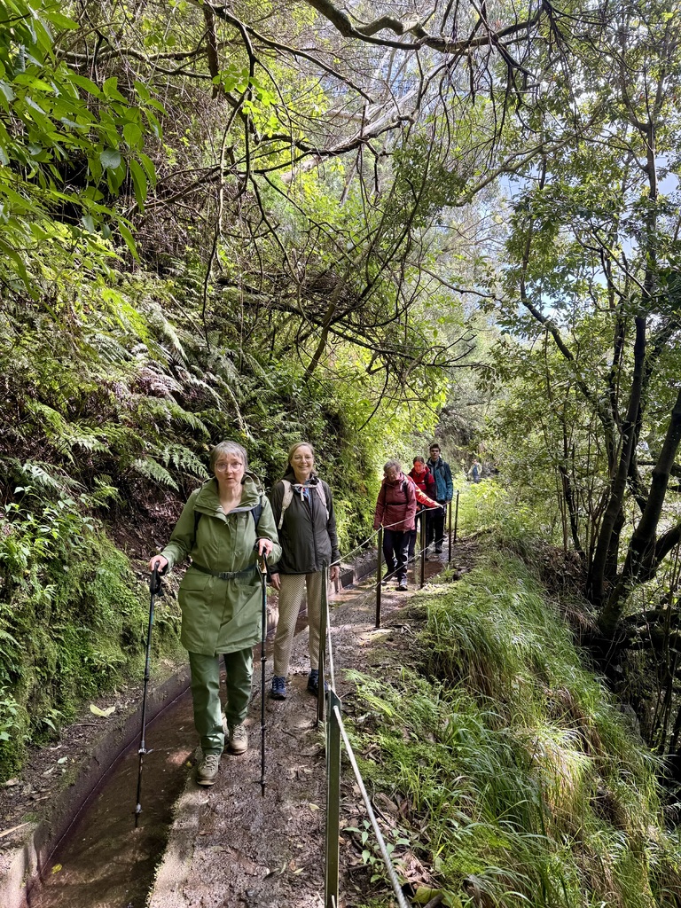 Wandelaars op Madeira bij een levada