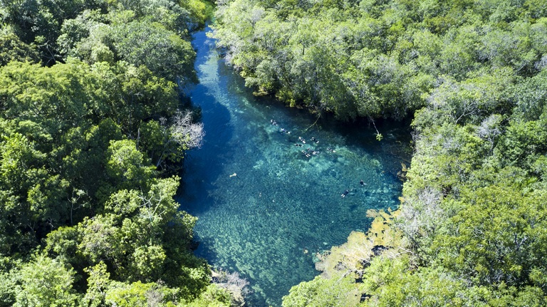 Snorkelen Bonito