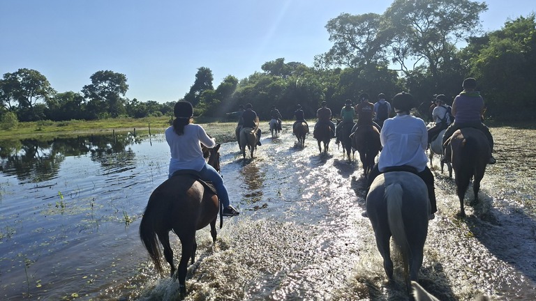 Horse riding through river crossing in Pousada Aguapé, Pantanal