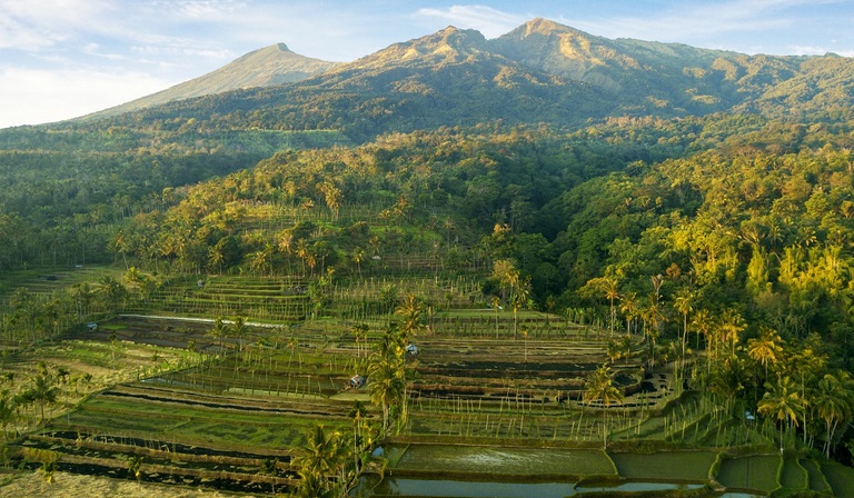 Rinjani