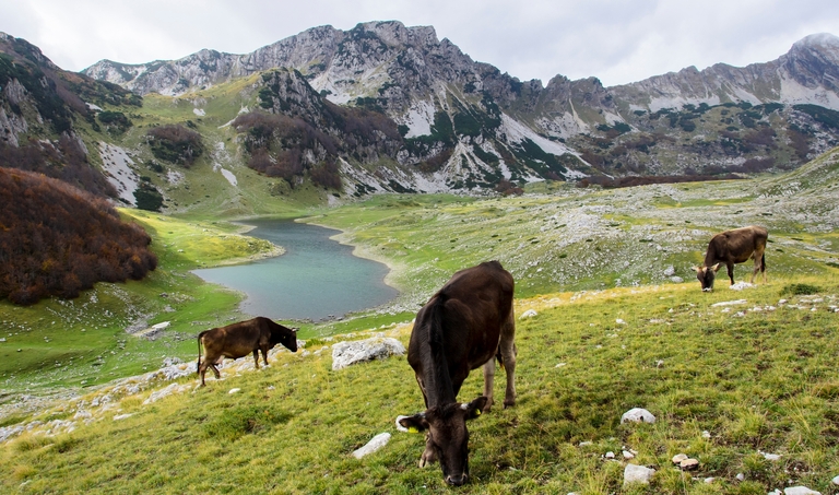 Durmitor National Park