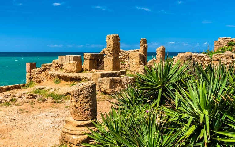Tipaza