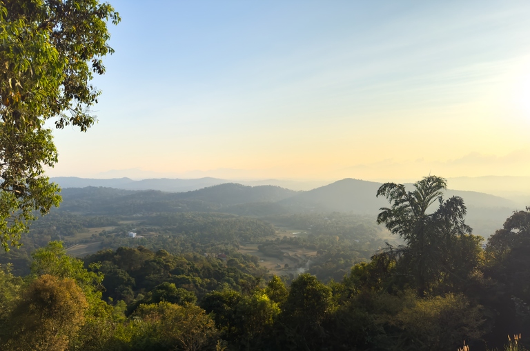 Landschap Coorg India