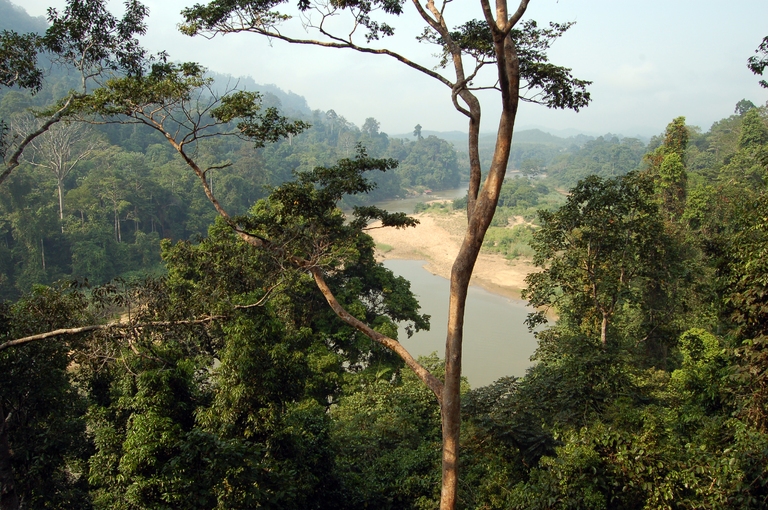 taman negara nationaal park