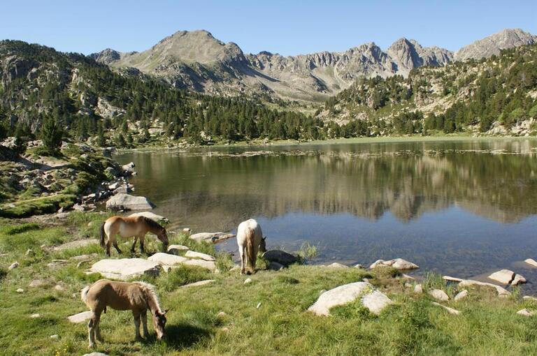 Sorteny vallei, Andorra