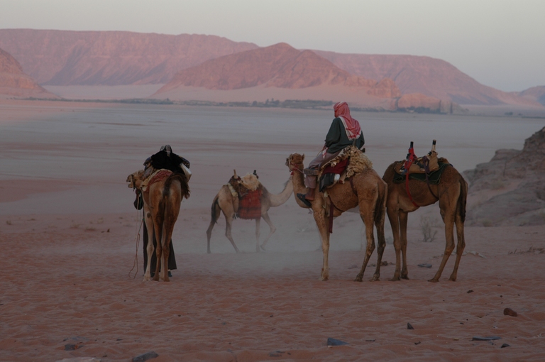 Wadi Rum 