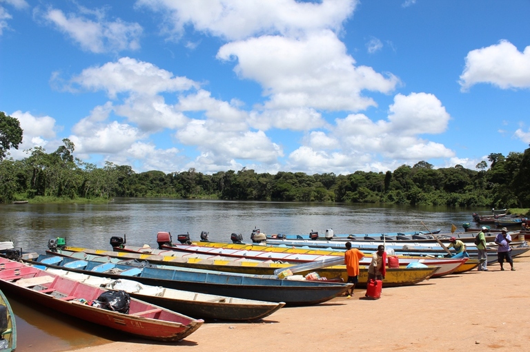 Korjalen Suriname