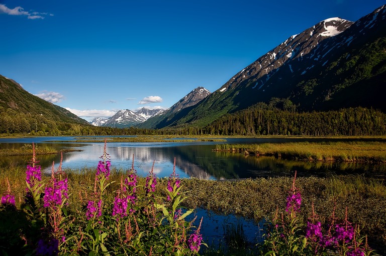 Landschappen Alaska